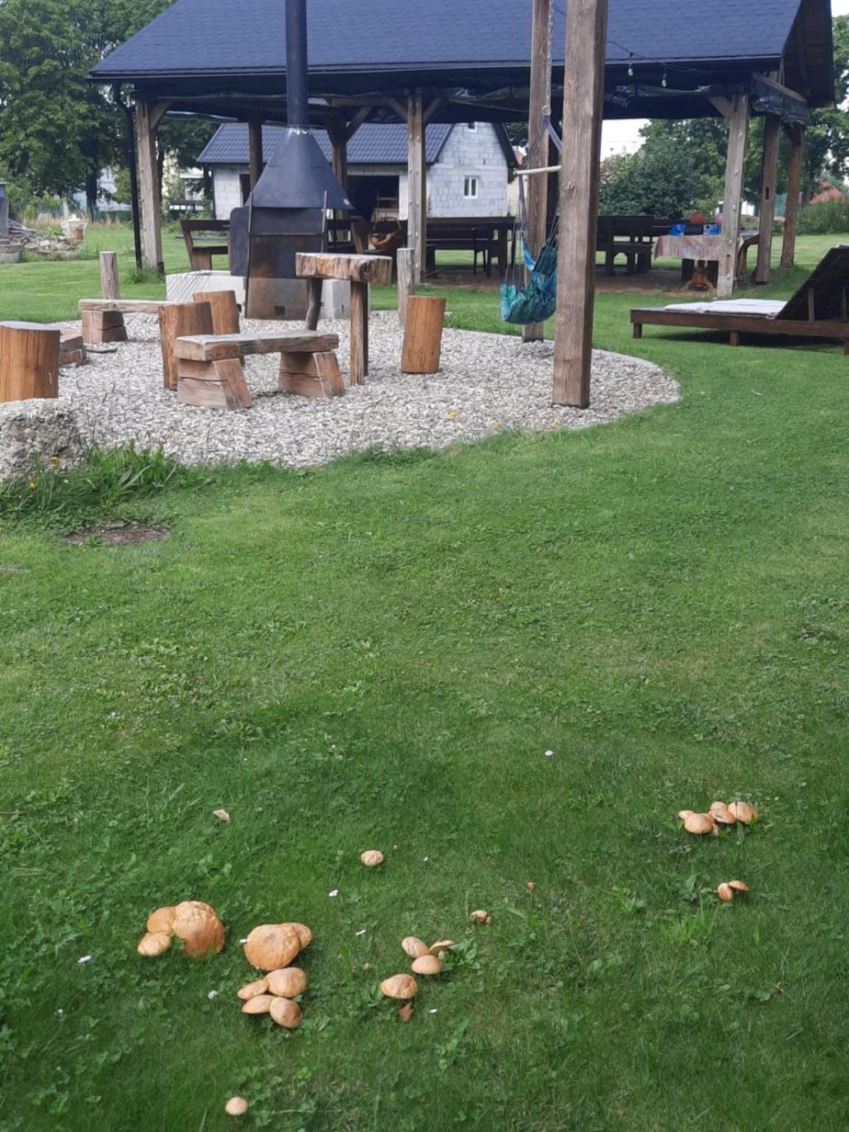 Harcowka Villa Zloty Stok Bagian luar foto